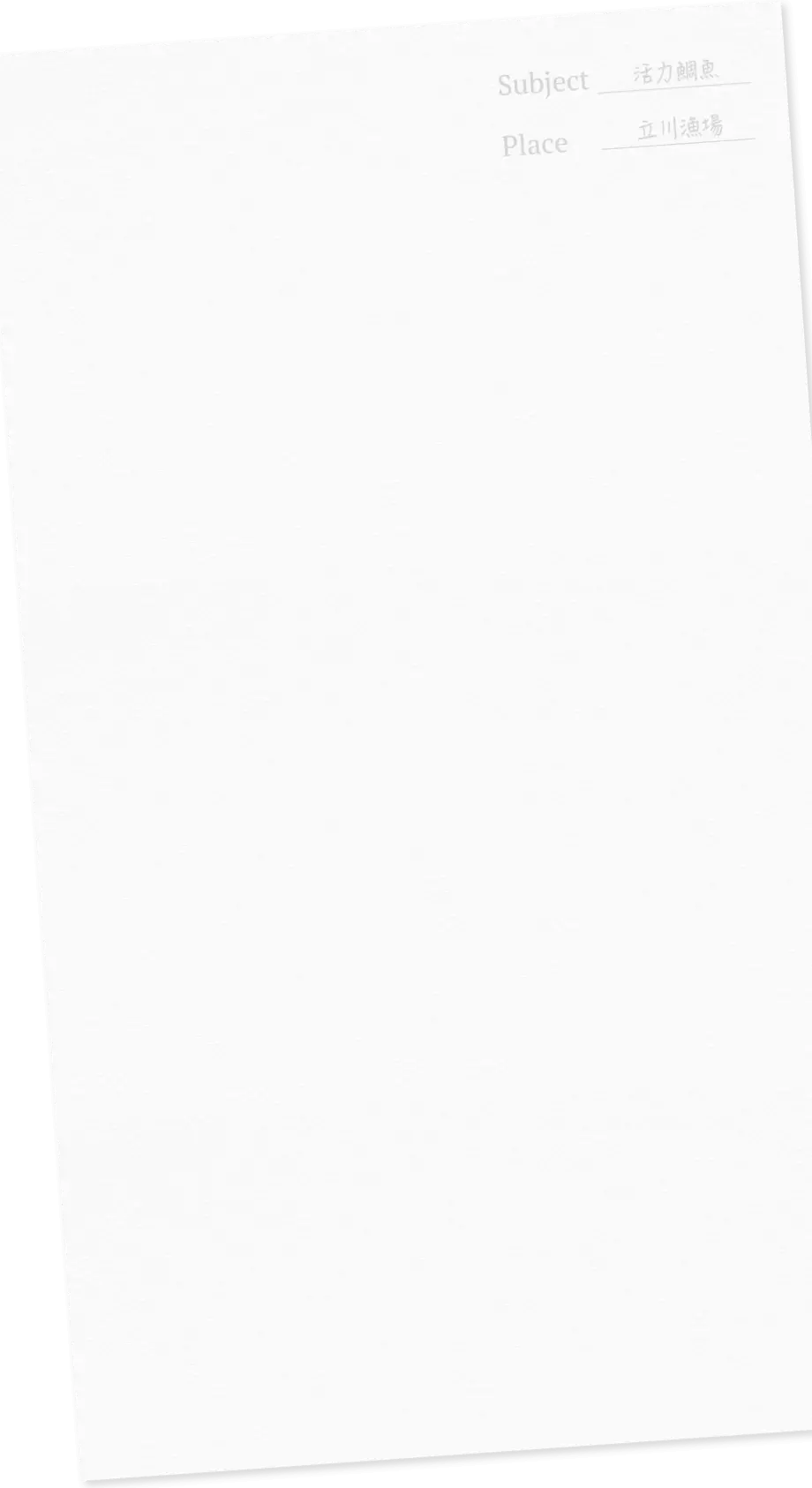 活力鯛魚 花蓮壽豐